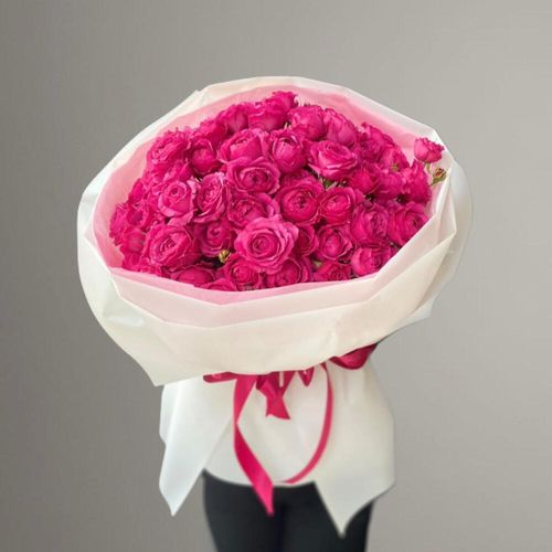 Elite Peony