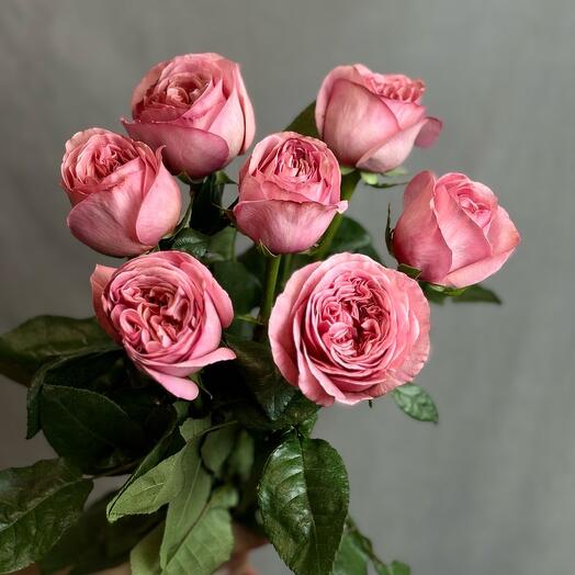 Роза пионовидная PINK XPRESSION 7 шт