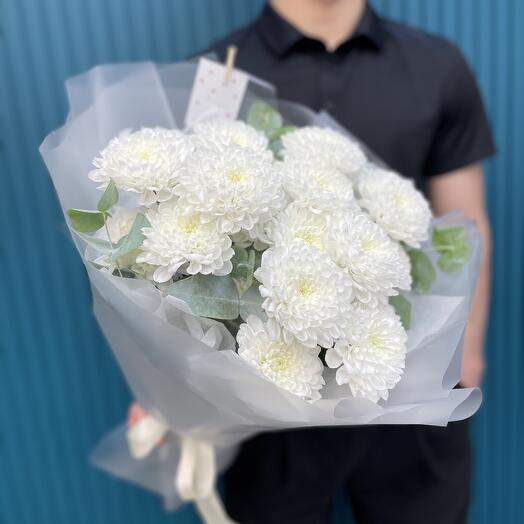 Хризантемы кустовые премиум сорта