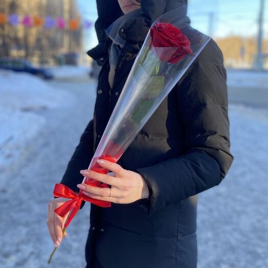 Роза красная в слюде