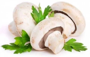 Топпинг к пицце: шампиньоны