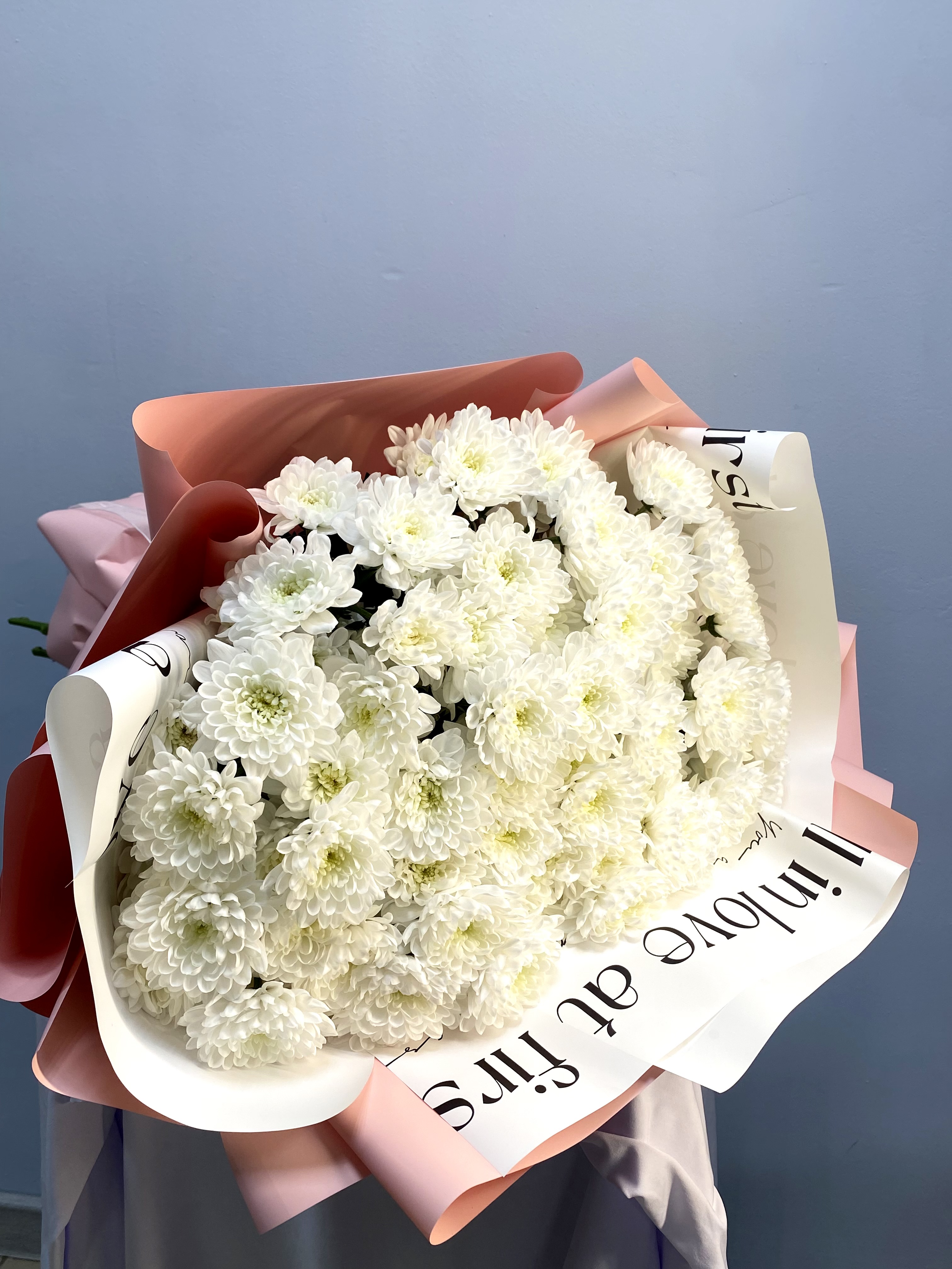 11 махровых хризантем в нежной упаковке