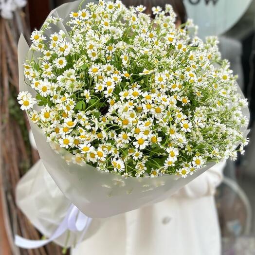 Нежные ромашки 