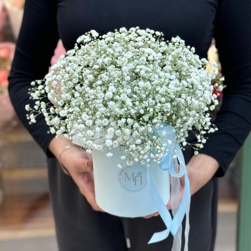 Гипсофила в коробке