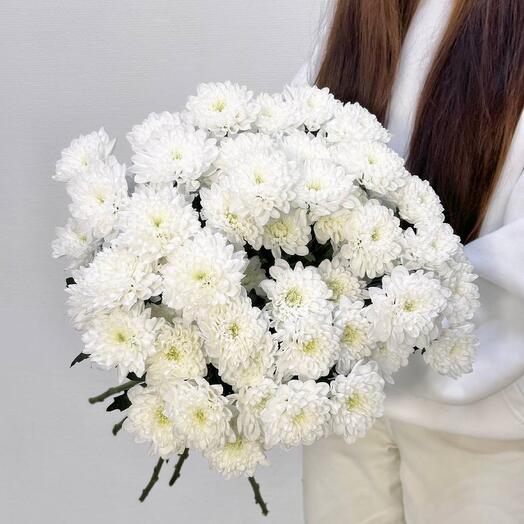 Букет из 9 веток кустовых хризантем под ленту