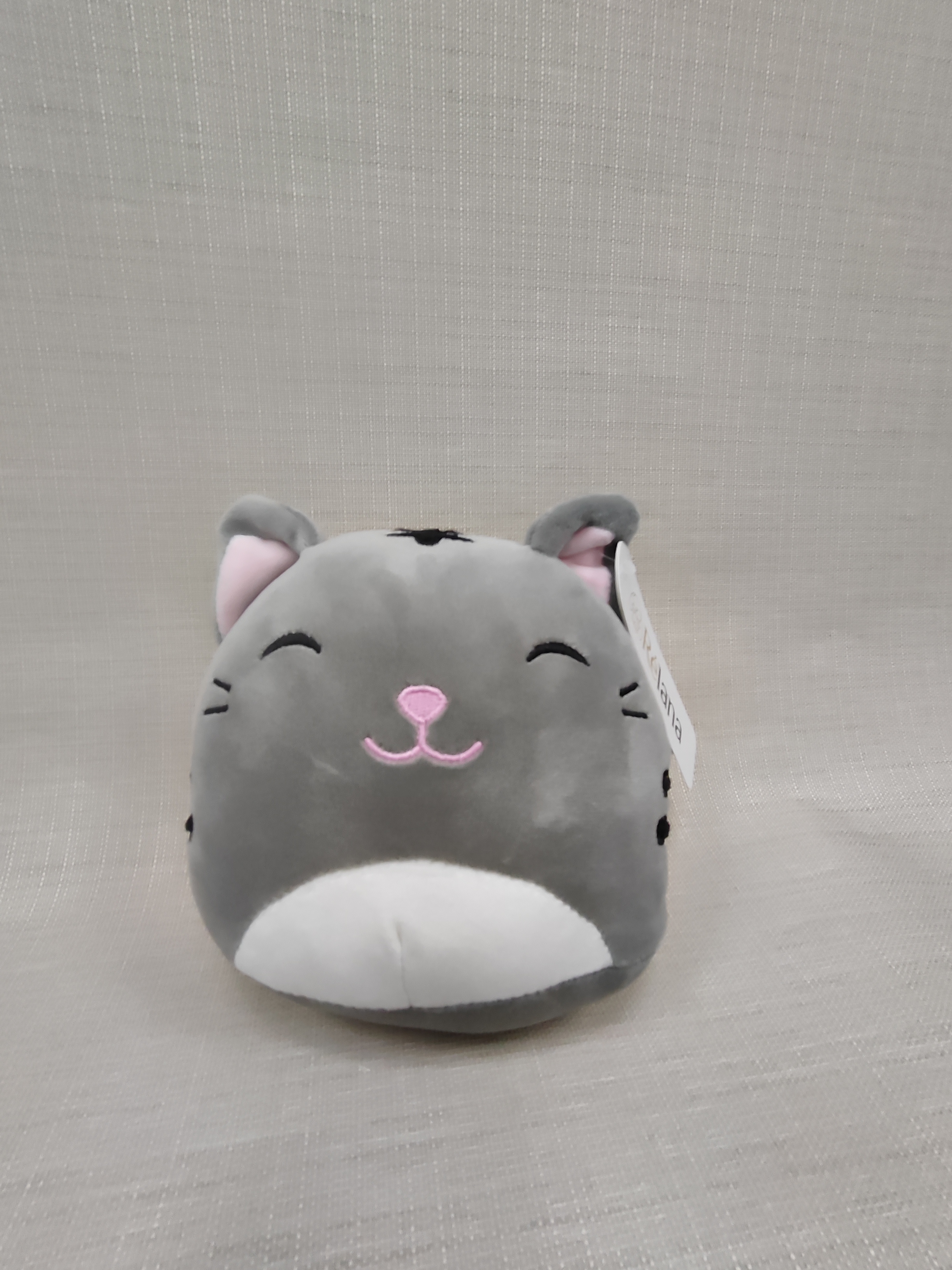 Котик серый круглый 