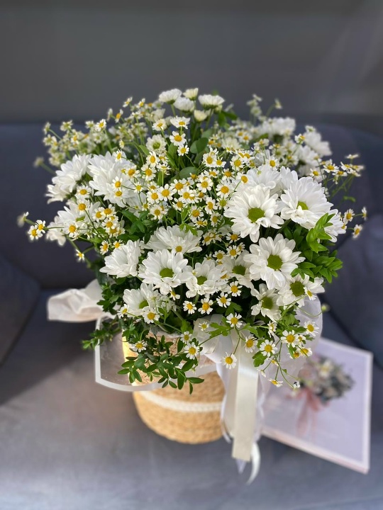 Корзина ромашек