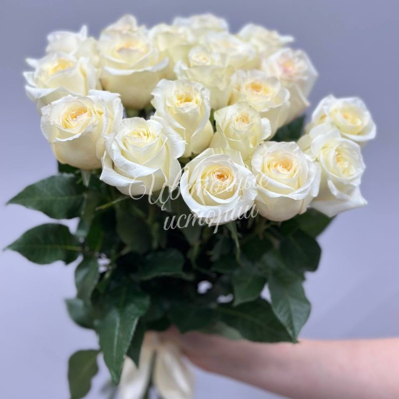 Букет из кремовых роз