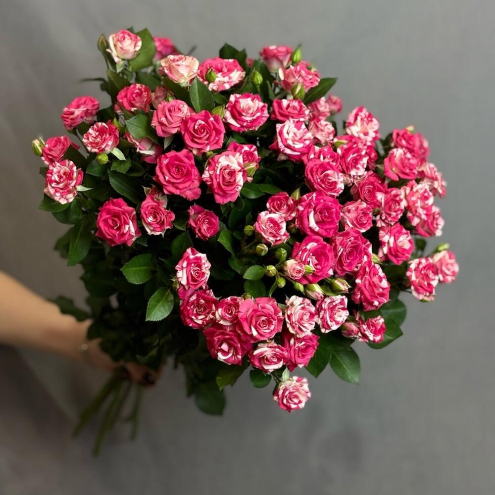 Роза кустовая премиум класса 7шт