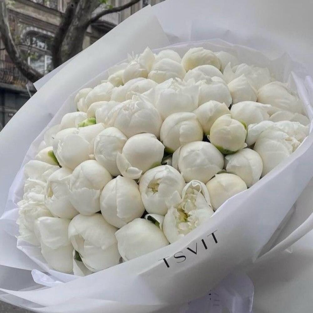 Букет из белых пион 35 шт