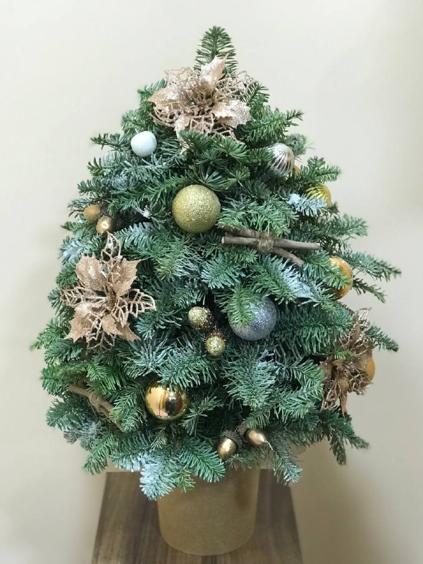 Елочка из норвежской голубой ели Нобилис