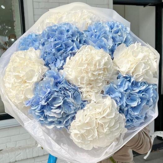 Букет из белых и голубых гортензий 9 шт