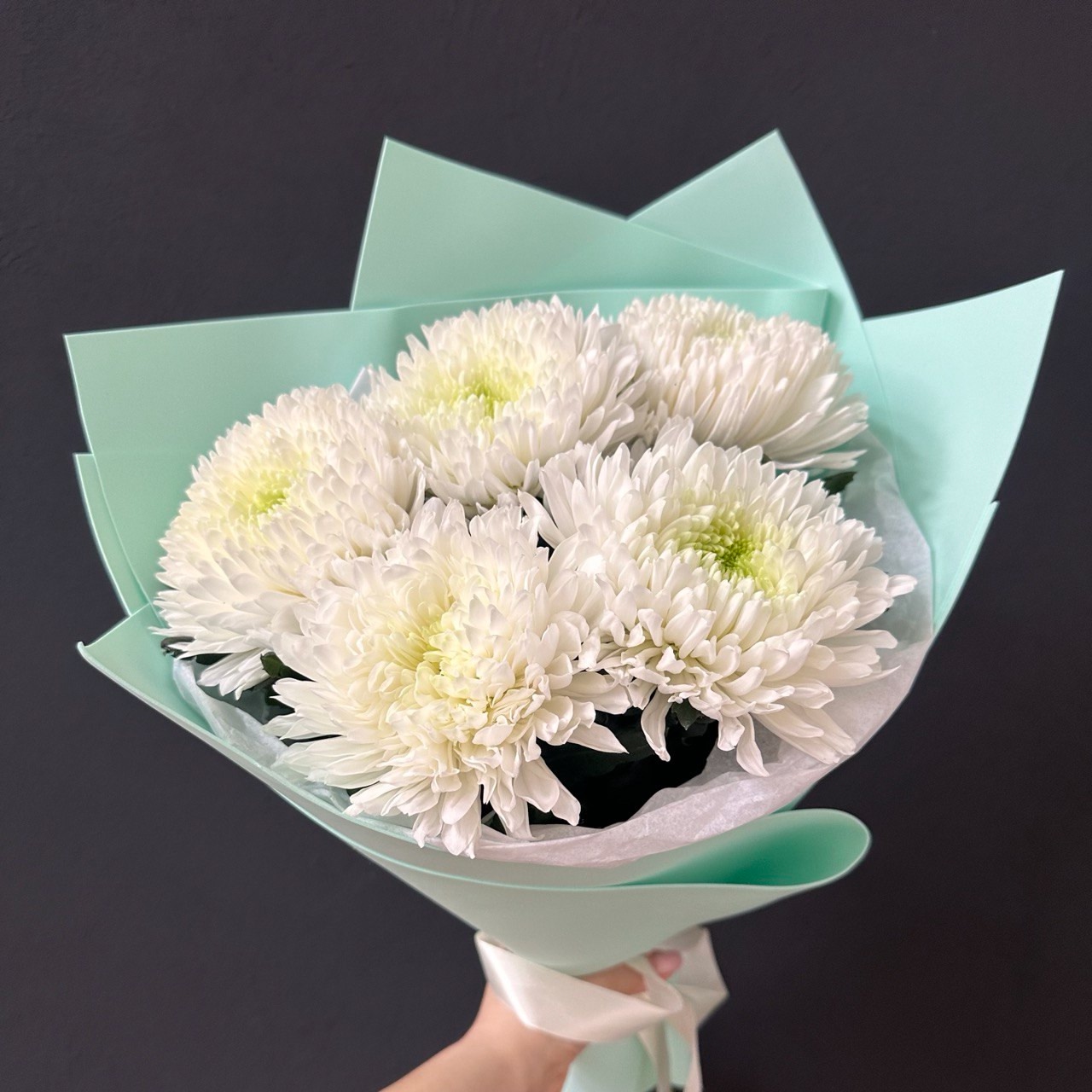 5 одноголовых хризантем