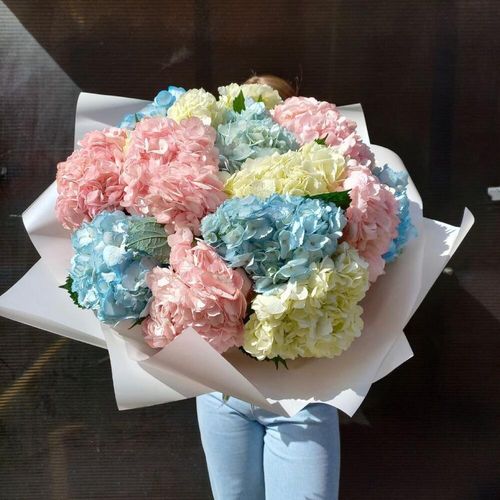 Бол букет «цветные облака» из гортензий