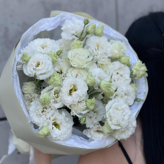 Эустома бело-зеленая