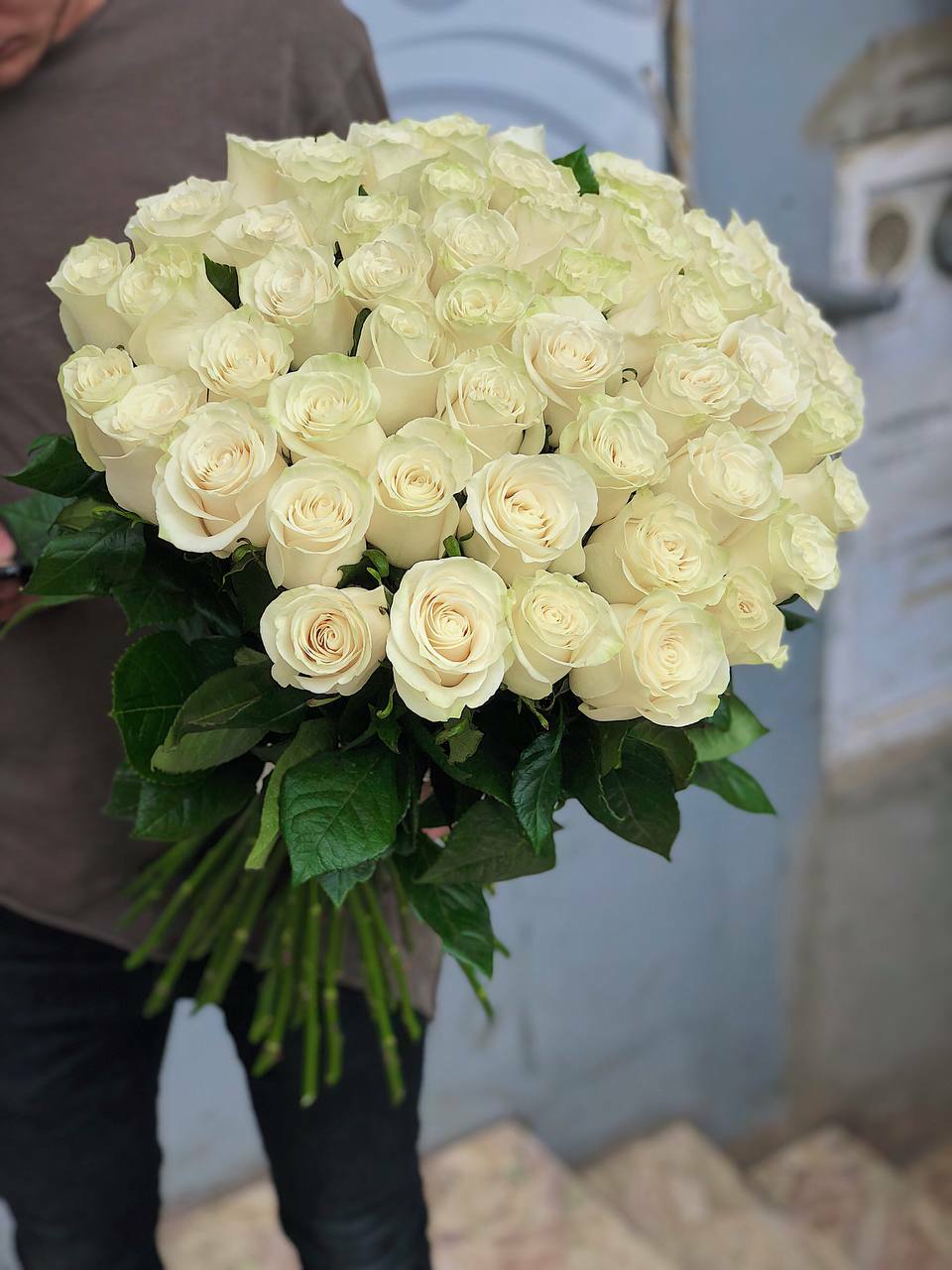 Эквадорские красные розы 60 см 51шт