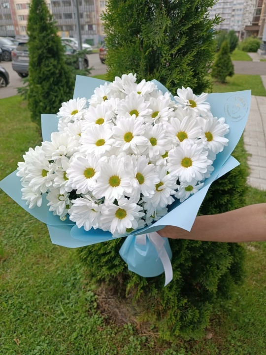 Букет-моно "Ромашки"