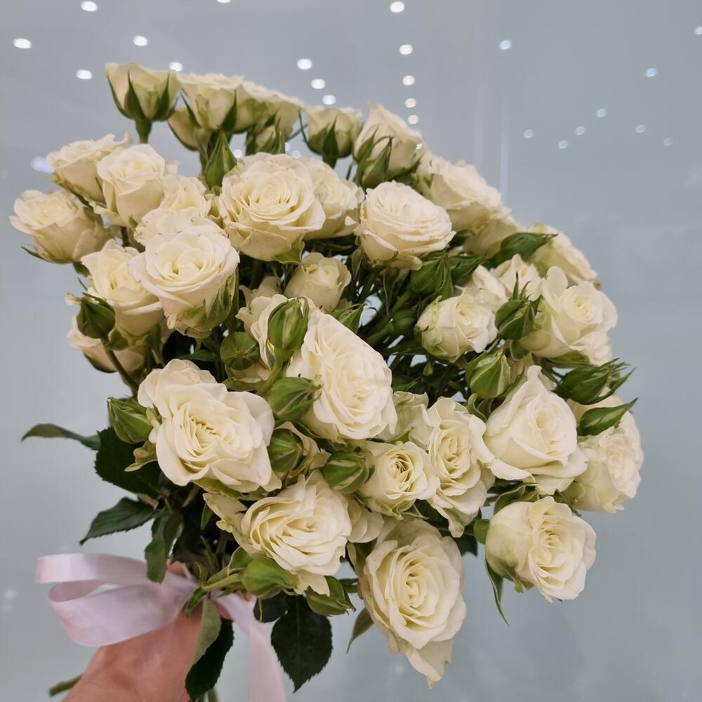 Букет из белых кустовых роз "Северное сияние"