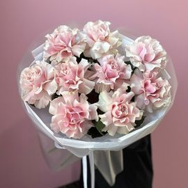 Французские Пинк Мондиал