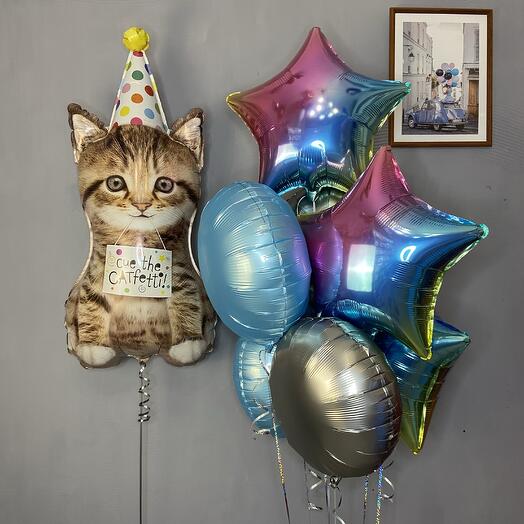 Котик
