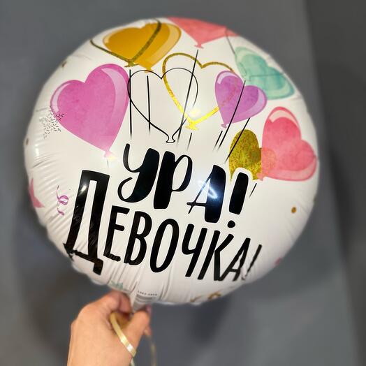 Шар на выписку девочка