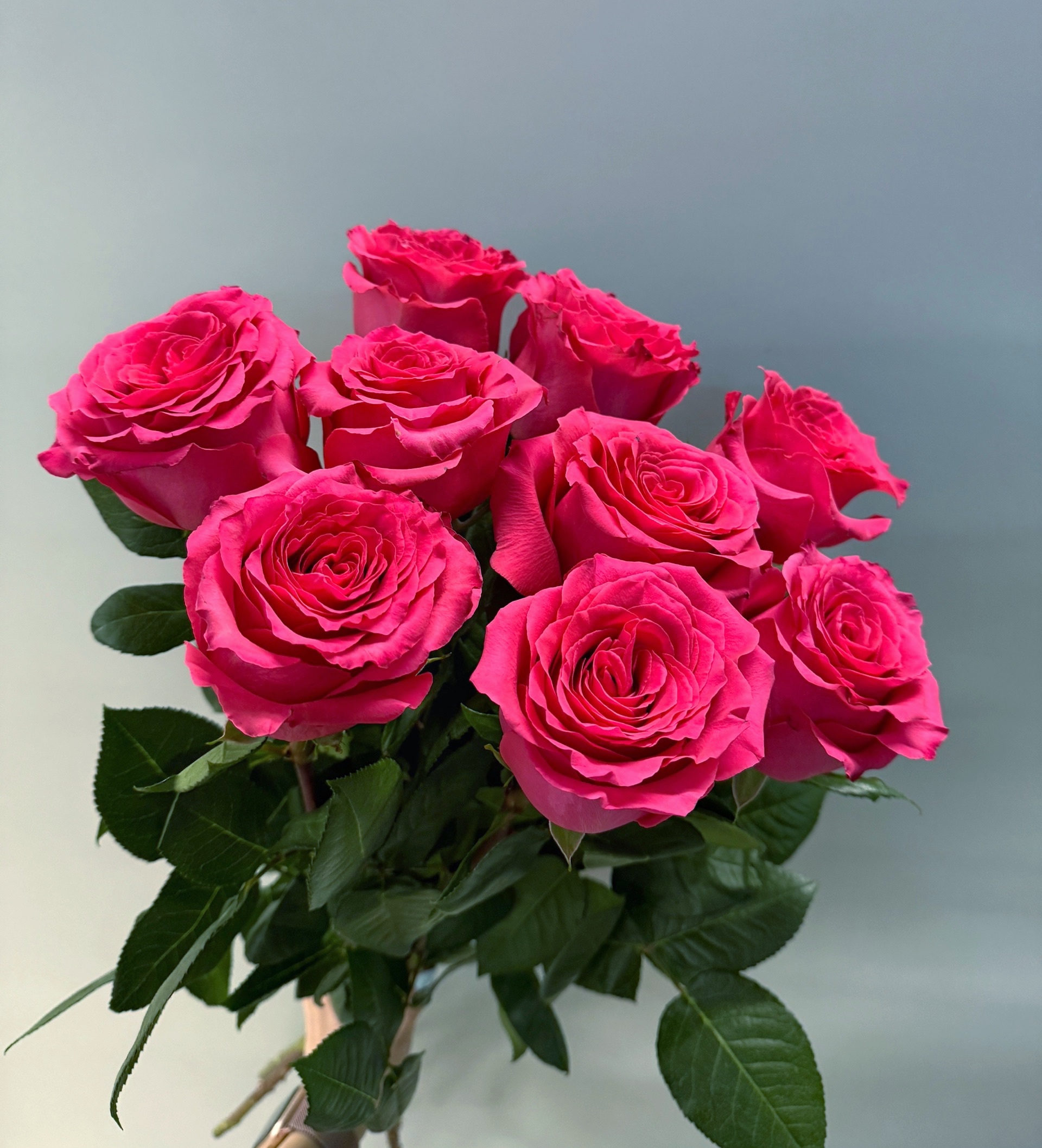 9 малиновых роз