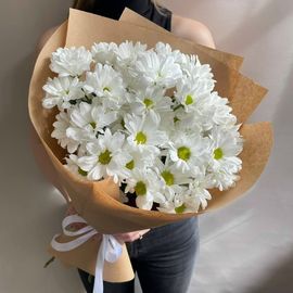 Моно из ромашковой хризантемы в крафте S