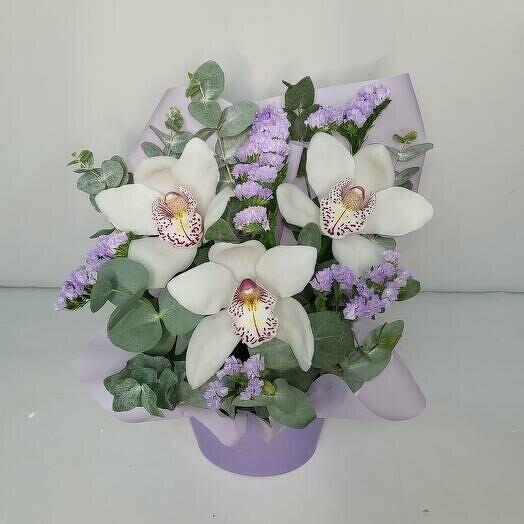 Орхидеи в коробке