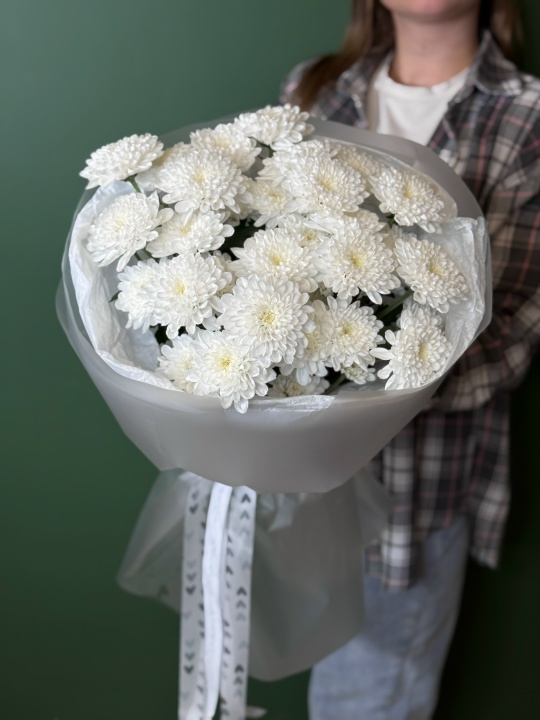 5 пушистых хризантем Алтай