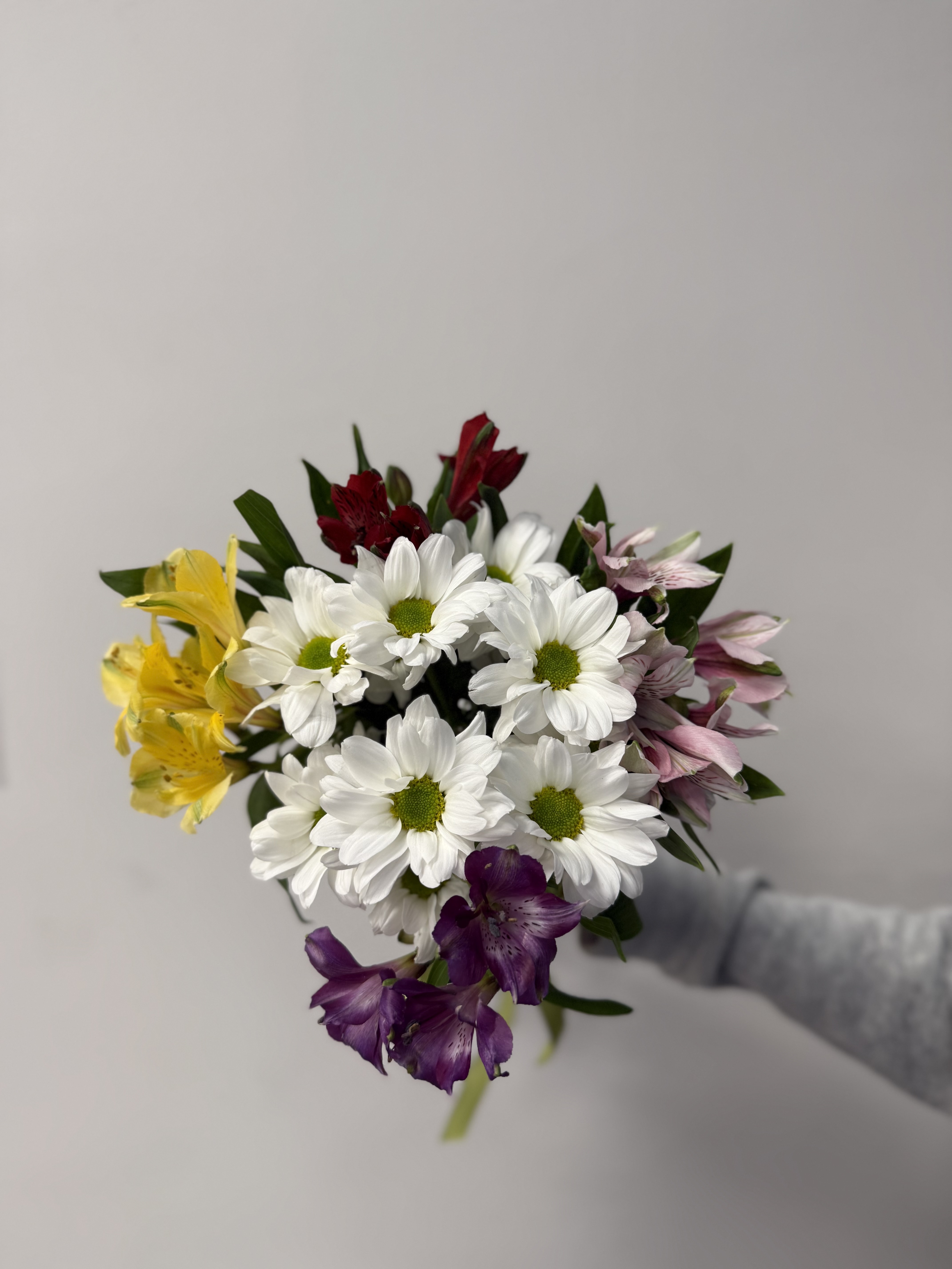 Букет из 1 кустовой хризантемы и 5 альстромерий под ленту