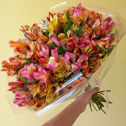 Качественный букет ярких альстрамерий