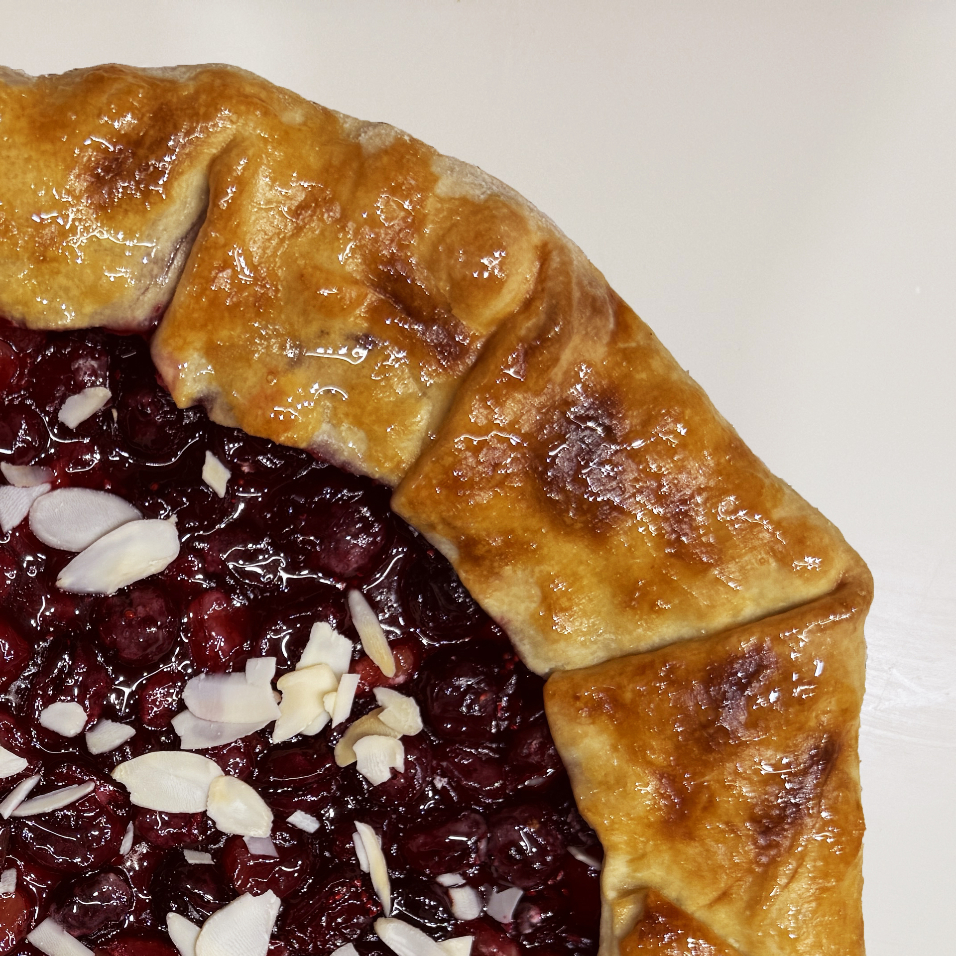 Кусочек галеты с клюквой и ежевикой