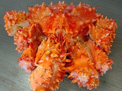 Колючий краб с устричным соусом