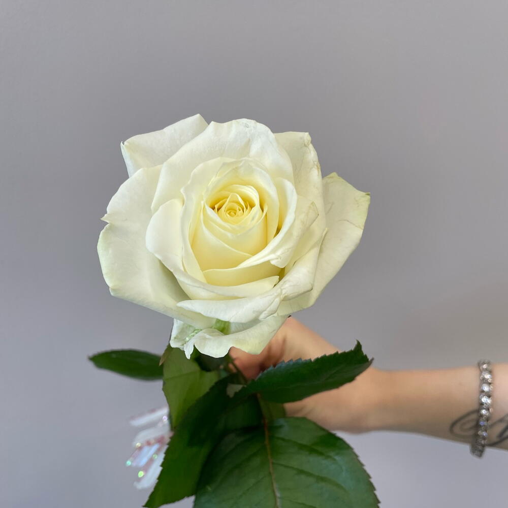 Белые Розы 40 см