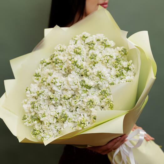 51 Белая маттиола