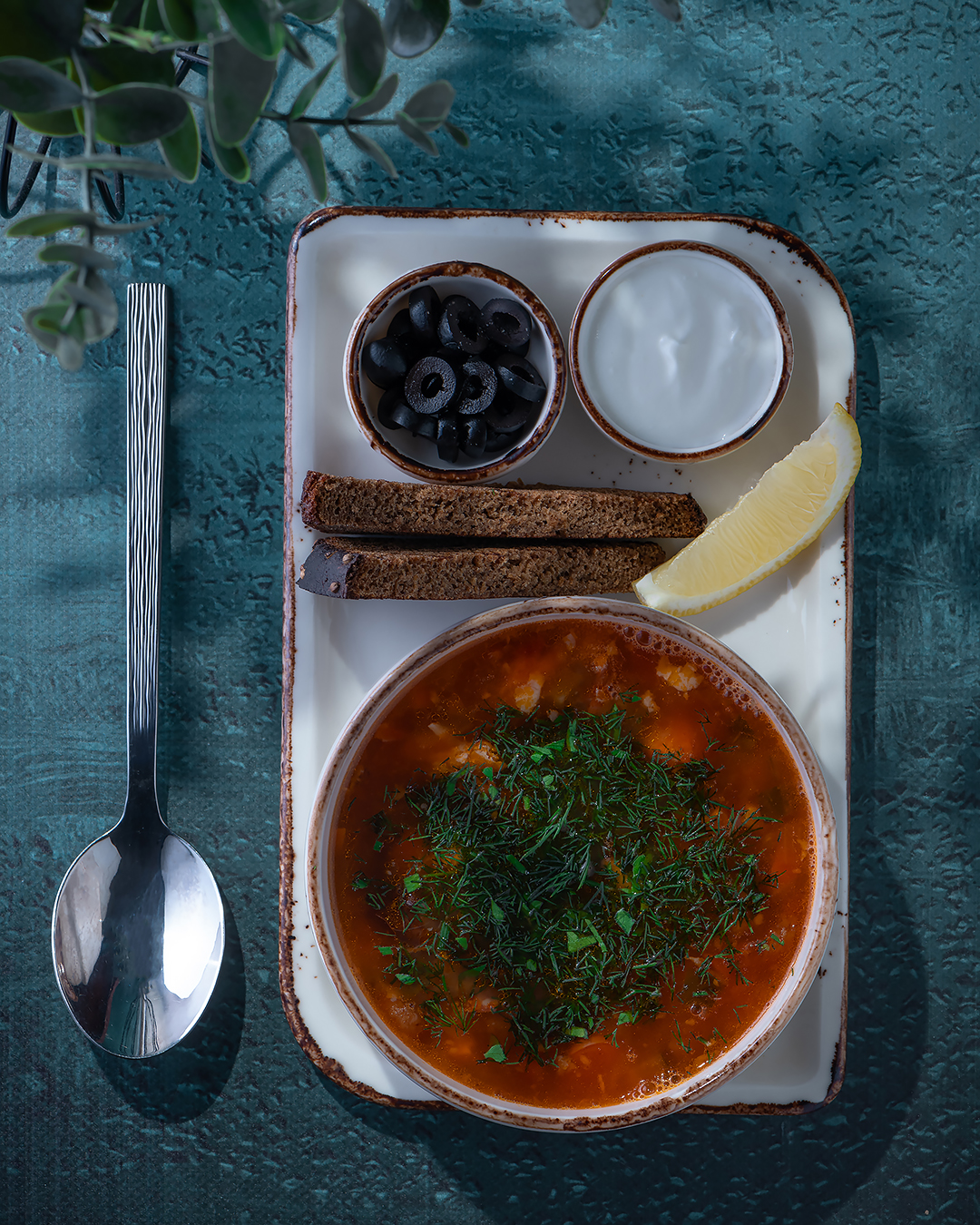 Солянка мясная