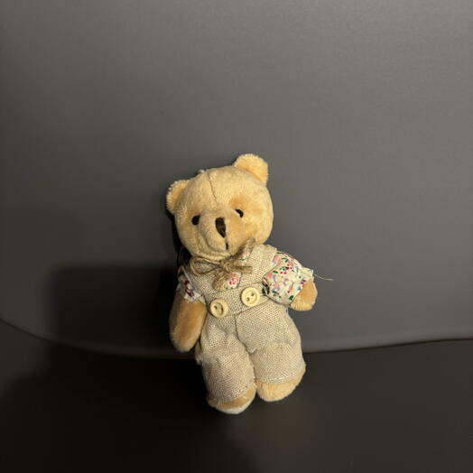 Мишка в комбенизоне