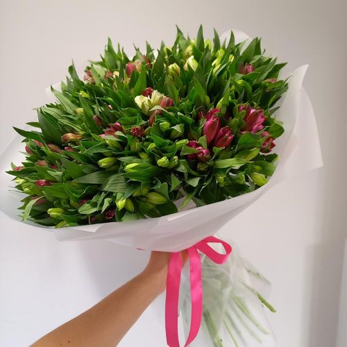 Огромный букет свежих альстрамерий