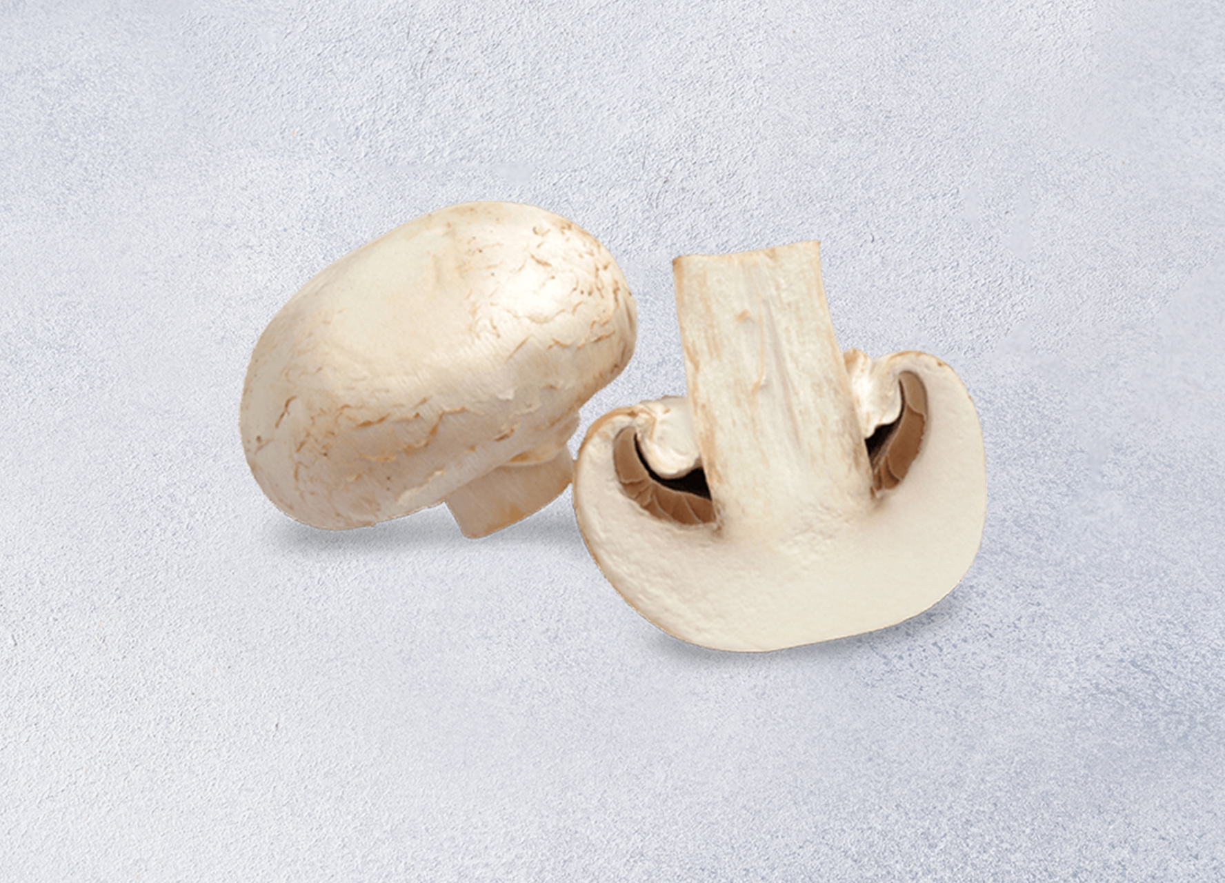 Шампиньоны