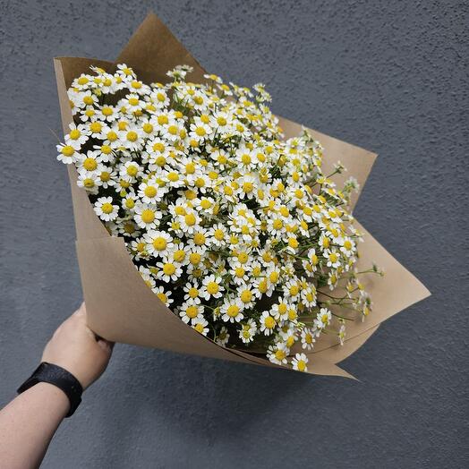 Букет солнечных ромашек