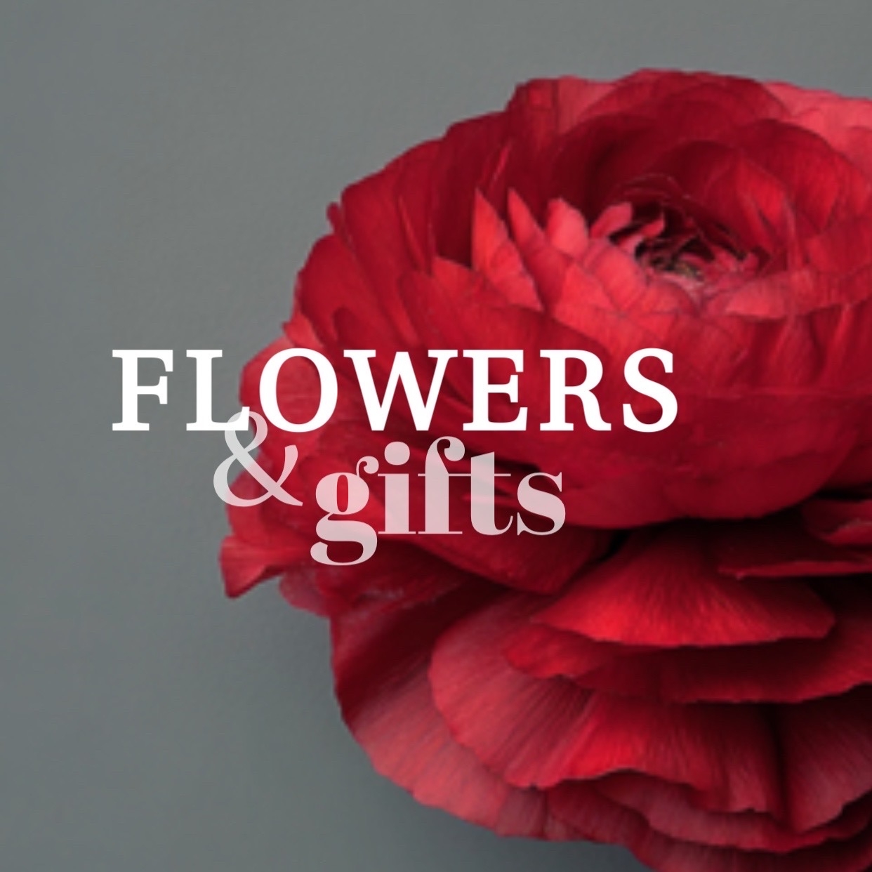 Цветы & Подарки - логотип