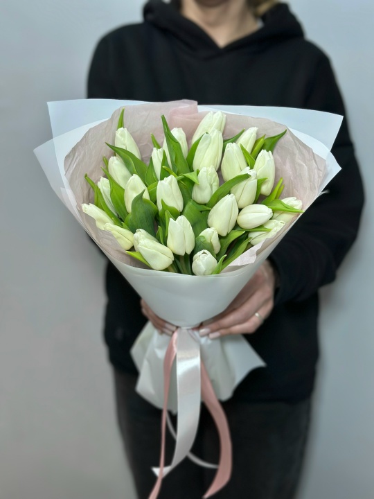 25 белых тюльпанов