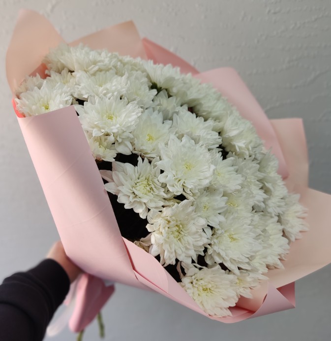 Хризантемы (11шт)