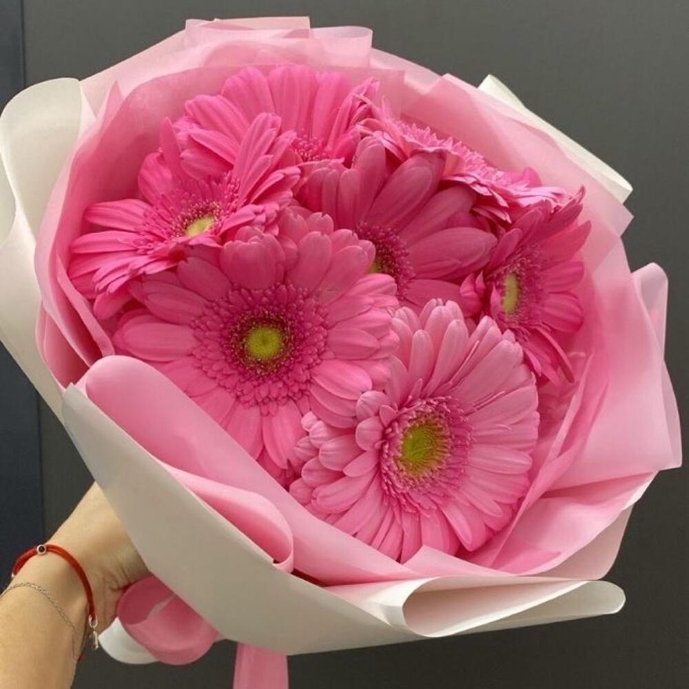 Букет из розовых Гербер 7 шт