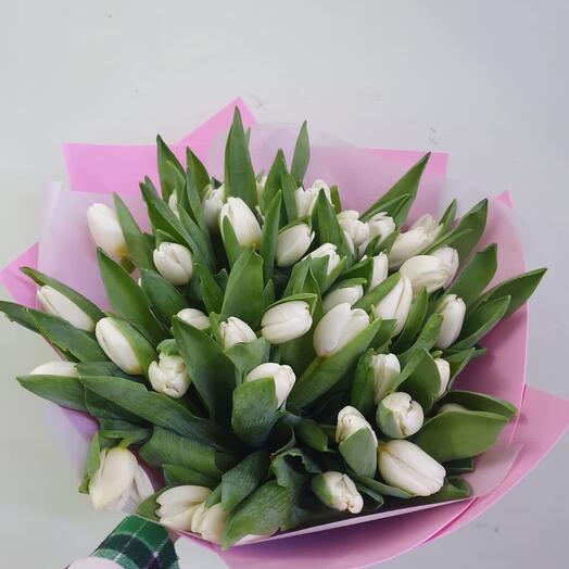 Тюльпаны белые Небо