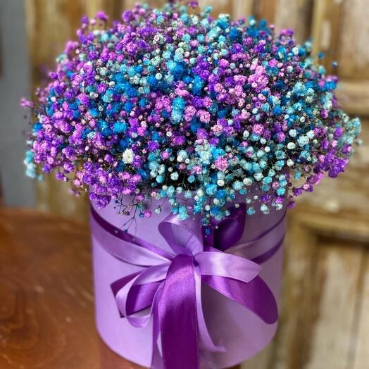 Радужная гипсофила в коробочке