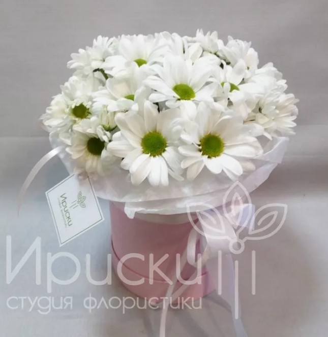 Коробочка с ромашками