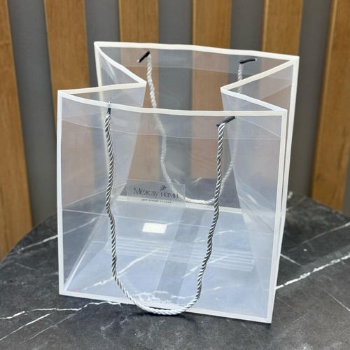 Прозрачная сумка-переноска