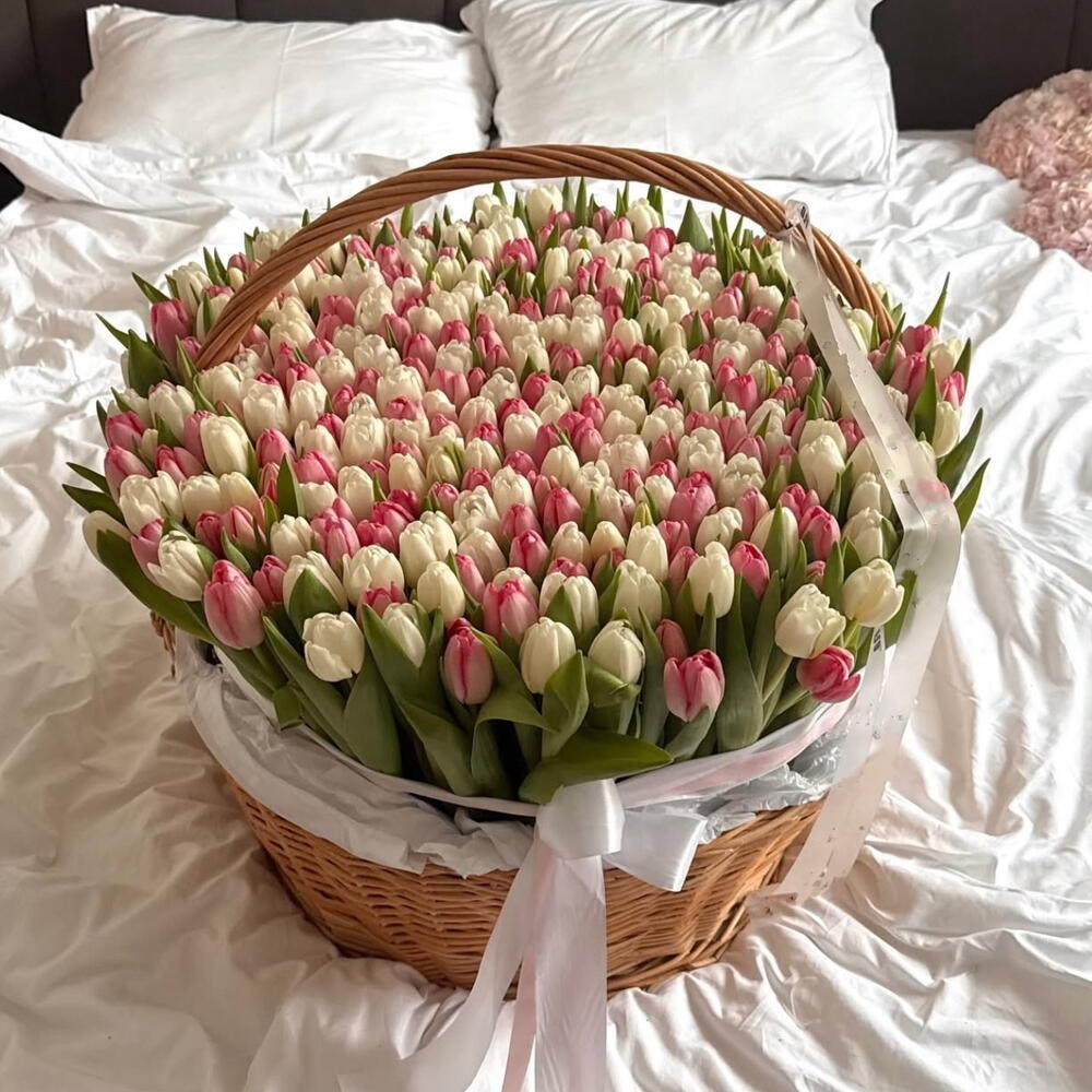301 тюльпан в корзине