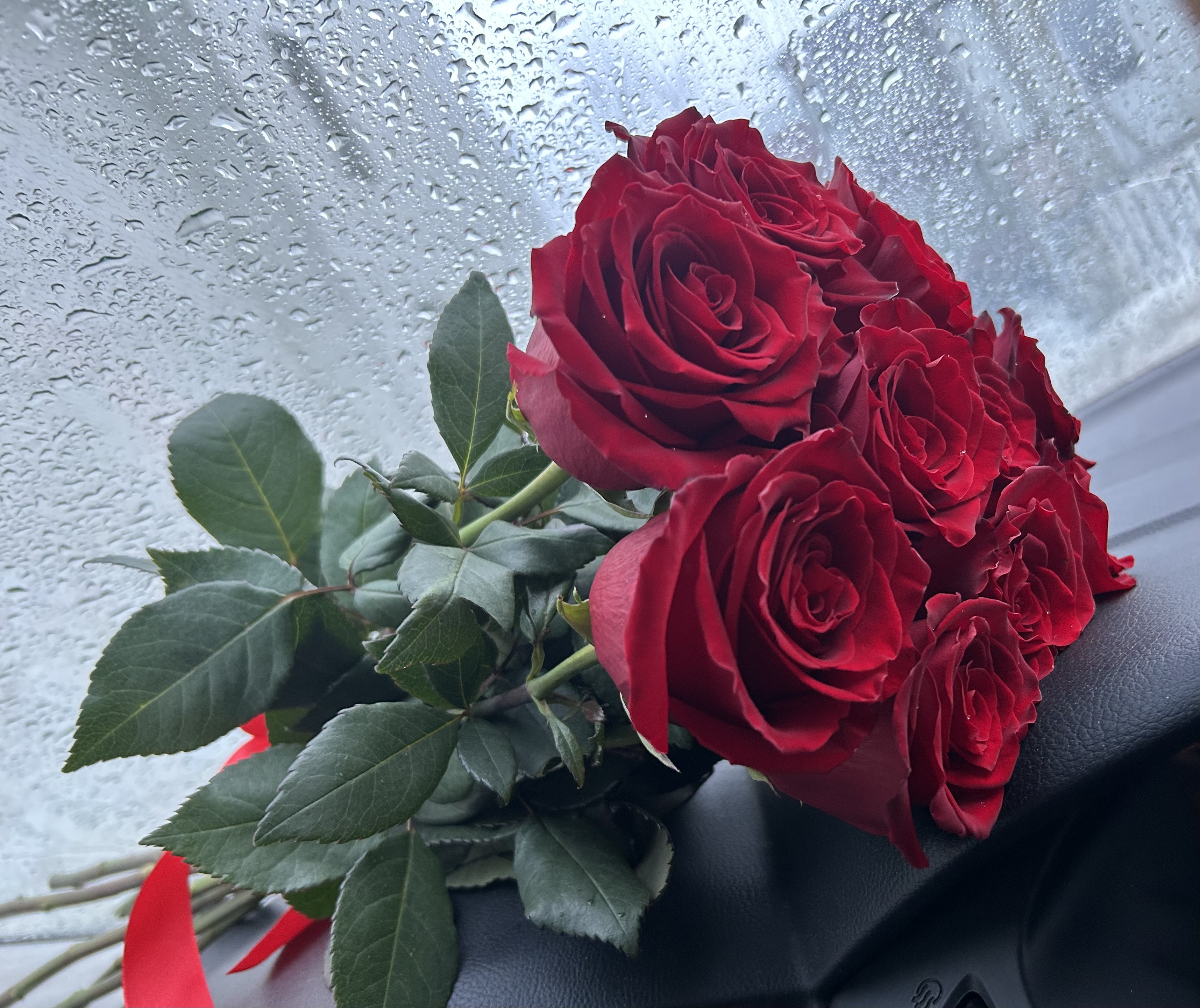 7 эквадорских роз (бордовые)